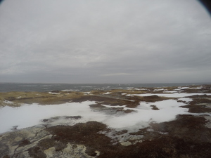 Photograph of Pinchard's Island, Newfoundland — January 23, 2018 at 9:59 AM