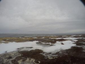 Photograph of Pinchard's Island, Newfoundland — January 23, 2018 at 10:59 AM