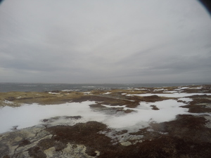 Photograph of Pinchard's Island, Newfoundland — January 23, 2018 at 11:59 AM