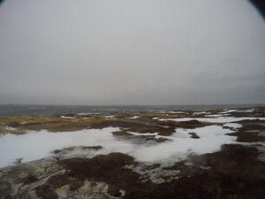 Photograph of Pinchard's Island, Newfoundland — January 23, 2018 at 12:59 PM