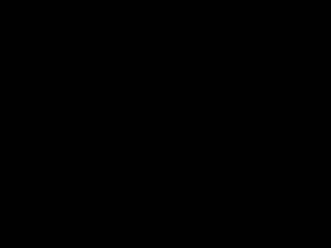 Photograph of Pinchard's Island, Newfoundland — January 23, 2018 at 7:59 PM