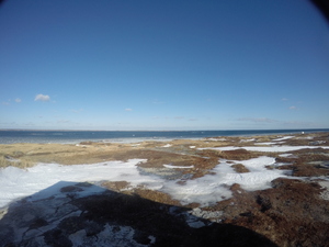 Photograph of Pinchard's Island, Newfoundland — January 24, 2018 at 7:59 AM