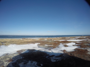 Photograph of Pinchard's Island, Newfoundland — January 24, 2018 at 8:59 AM