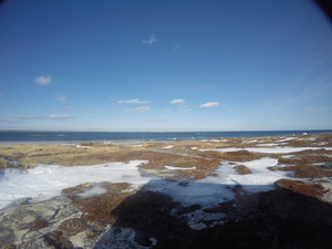 Photograph of Pinchard's Island, Newfoundland — January 24, 2018 at 9:59 AM