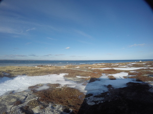 Photograph of Pinchard's Island, Newfoundland — January 24, 2018 at 10:59 AM