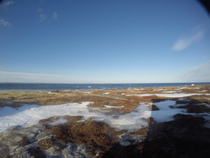 Photograph of Pinchard's Island, Newfoundland — January 24, 2018 at 11:59 AM