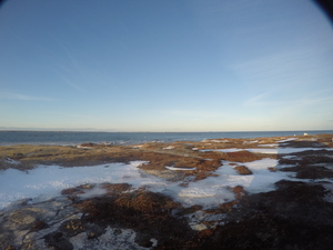 Photograph of Pinchard's Island, Newfoundland — January 24, 2018 at 12:59 PM