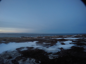 Photograph of Pinchard's Island, Newfoundland — January 24, 2018 at 1:59 PM