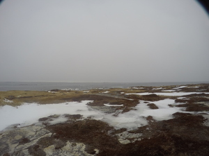 Photograph of Pinchard's Island, Newfoundland — January 25, 2018 at 7:59 AM