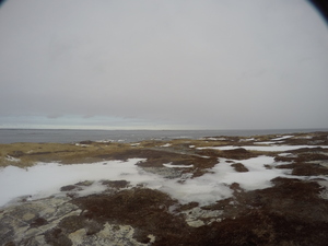 Photograph of Pinchard's Island, Newfoundland — January 25, 2018 at 8:59 AM