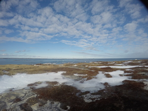 Photograph of Pinchard's Island, Newfoundland — January 25, 2018 at 9:59 AM