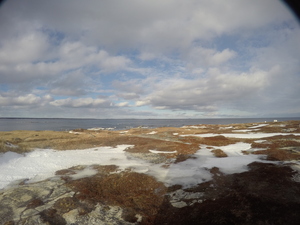 Photograph of Pinchard's Island, Newfoundland — January 25, 2018 at 10:59 AM