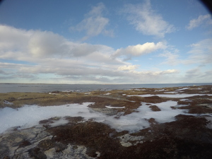 Photograph of Pinchard's Island, Newfoundland — January 25, 2018 at 11:59 AM