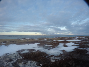 Photograph of Pinchard's Island, Newfoundland — January 25, 2018 at 12:59 PM