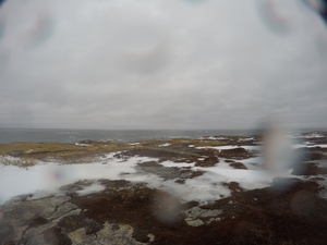 Photograph of Pinchard's Island, Newfoundland — January 26, 2018 at 8:59 AM