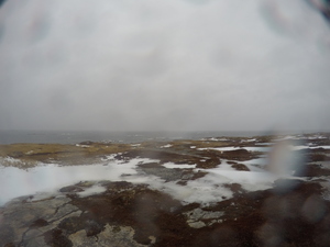 Photograph of Pinchard's Island, Newfoundland — January 26, 2018 at 9:59 AM