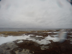Photograph of Pinchard's Island, Newfoundland — January 26, 2018 at 10:59 AM