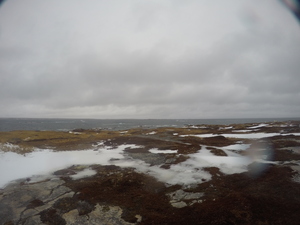 Photograph of Pinchard's Island, Newfoundland — January 26, 2018 at 11:59 AM