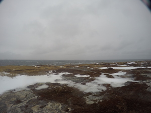 Photograph of Pinchard's Island, Newfoundland — January 26, 2018 at 12:59 PM