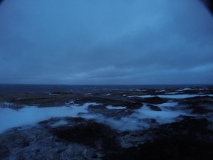 Photograph of Pinchard's Island, Newfoundland — January 26, 2018 at 1:59 PM