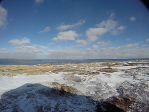 Photograph of Pinchard's Island, Newfoundland — January 27, 2018 at 7:59 AM
