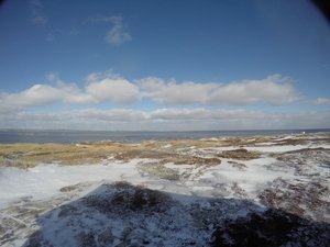 Photograph of Pinchard's Island, Newfoundland — January 27, 2018 at 8:59 AM