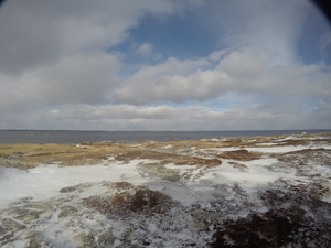 Photograph of Pinchard's Island, Newfoundland — January 27, 2018 at 9:59 AM