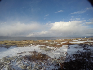 Photograph of Pinchard's Island, Newfoundland — January 27, 2018 at 11:59 AM