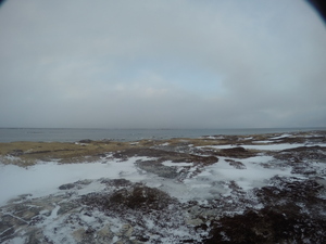 Photograph of Pinchard's Island, Newfoundland — January 27, 2018 at 12:59 PM