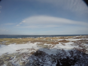 Photograph of Pinchard's Island, Newfoundland — January 28, 2018 at 9:59 AM