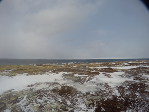 Photograph of Pinchard's Island, Newfoundland — January 28, 2018 at 10:59 AM