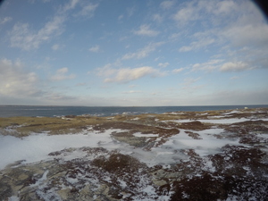 Photograph of Pinchard's Island, Newfoundland — January 28, 2018 at 11:59 AM
