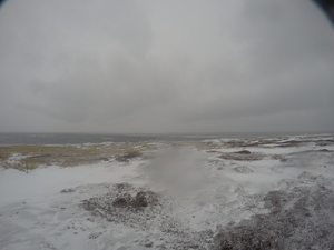 Photograph of Pinchard's Island, Newfoundland — January 29, 2018 at 7:59 AM