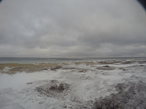 Photograph of Pinchard's Island, Newfoundland — January 29, 2018 at 10:59 AM