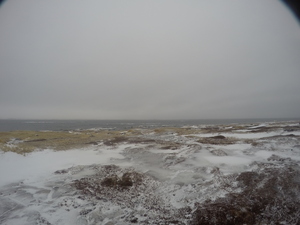 Photograph of Pinchard's Island, Newfoundland — January 30, 2018 at 7:59 AM