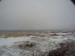 Photograph of Pinchard's Island, Newfoundland — January 30, 2018 at 8:59 AM
