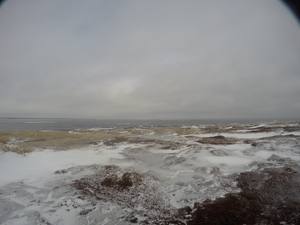 Photograph of Pinchard's Island, Newfoundland — January 30, 2018 at 9:59 AM