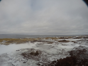 Photograph of Pinchard's Island, Newfoundland — January 30, 2018 at 10:59 AM