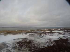 Photograph of Pinchard's Island, Newfoundland — January 30, 2018 at 11:59 AM