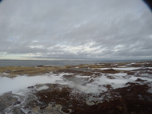 Photograph of Pinchard's Island, Newfoundland — January 30, 2018 at 12:59 PM