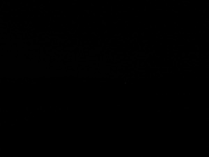 Photograph of Pinchard's Island, Newfoundland — January 30, 2018 at 2:59 PM