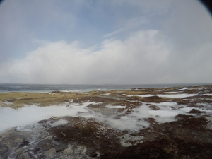 Photograph of Pinchard's Island, Newfoundland — January 31, 2018 at 7:59 AM