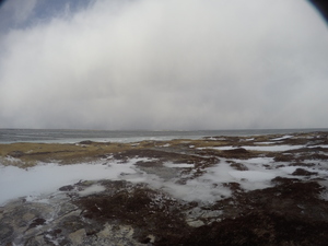 Photograph of Pinchard's Island, Newfoundland — January 31, 2018 at 8:59 AM