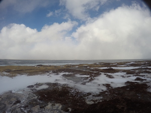 Photograph of Pinchard's Island, Newfoundland — January 31, 2018 at 9:59 AM