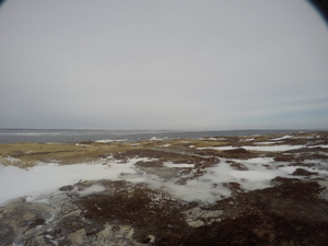 Photograph of Pinchard's Island, Newfoundland — February 1, 2018 at 7:59 AM