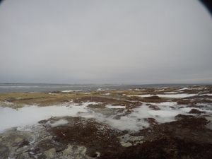 Photograph of Pinchard's Island, Newfoundland — February 1, 2018 at 8:59 AM