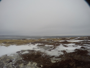 Photograph of Pinchard's Island, Newfoundland — February 1, 2018 at 9:59 AM