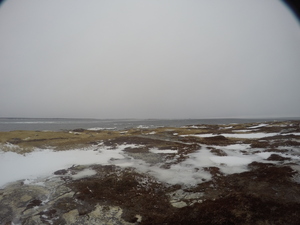 Photograph of Pinchard's Island, Newfoundland — February 1, 2018 at 10:59 AM