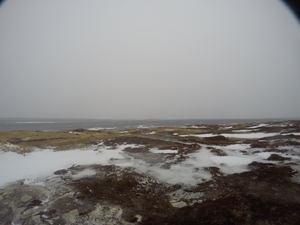 Photograph of Pinchard's Island, Newfoundland — February 1, 2018 at 11:59 AM