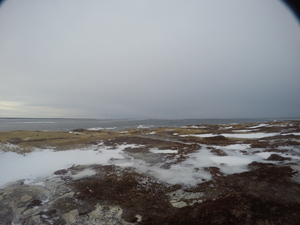 Photograph of Pinchard's Island, Newfoundland — February 1, 2018 at 12:59 PM